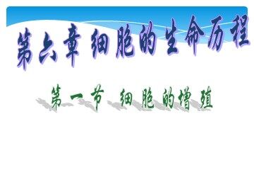 第1节  细胞的增殖
