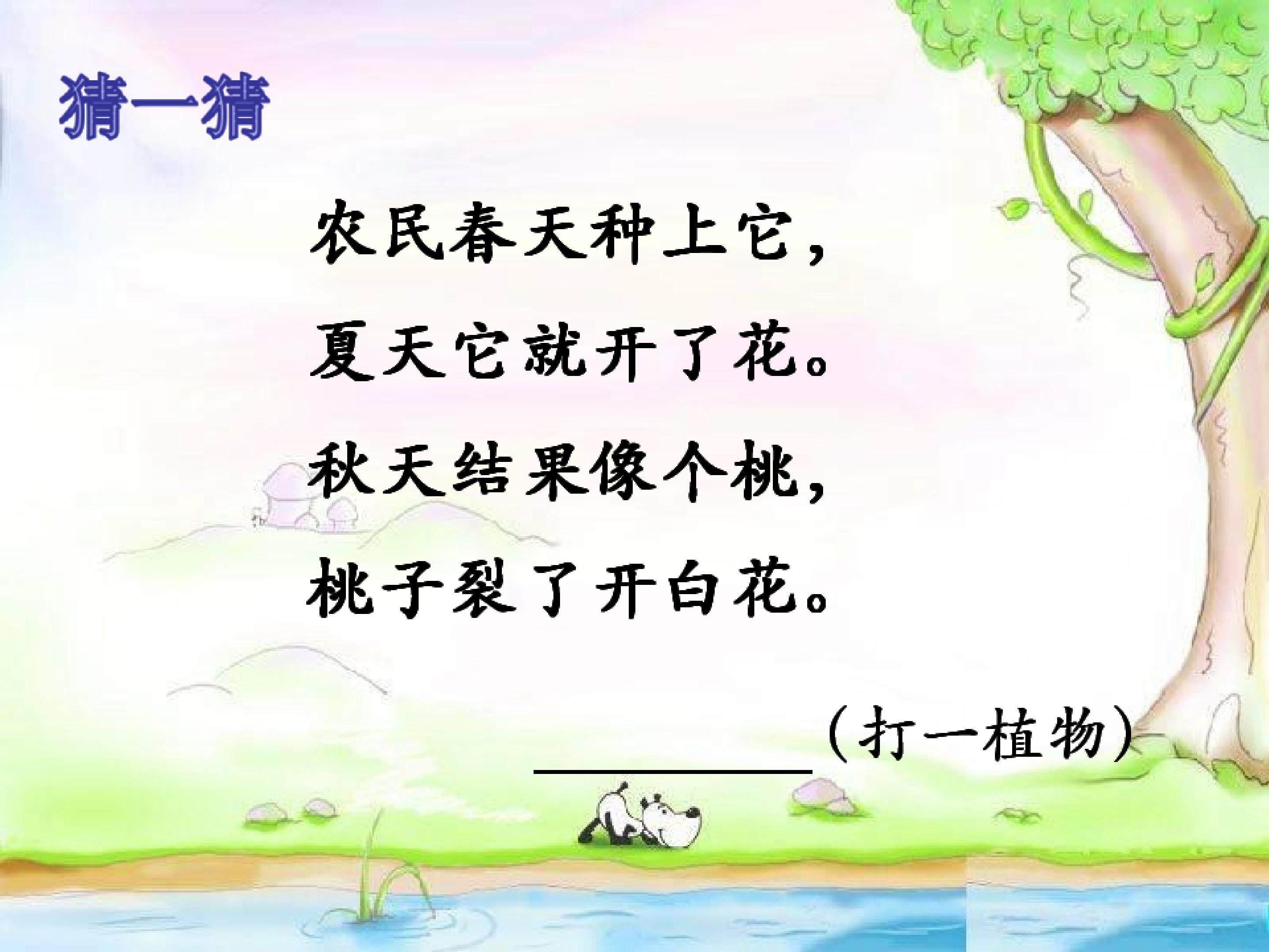 《棉花姑娘》