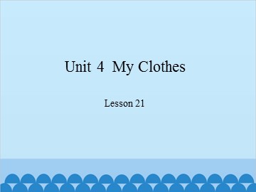 Unit 4  My Clothes Lesson 21_课件1