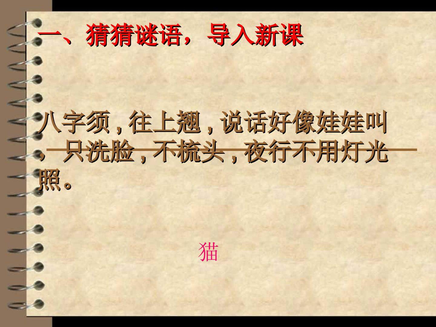 猫