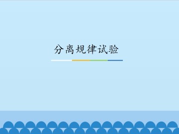 分离规律试验_课件1