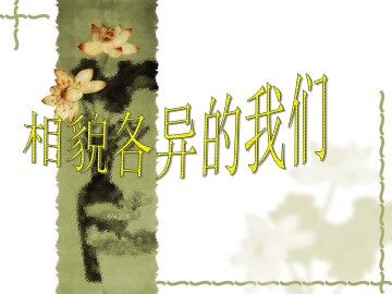 相貌各异的我们_课件1