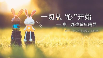 一切从“心”开始——高一新生适应性辅导