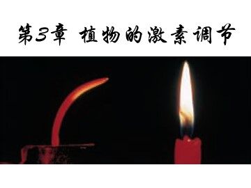 生物高中必修3第三章课件1