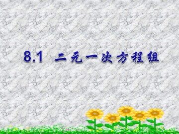 8.1 二元一次方程组