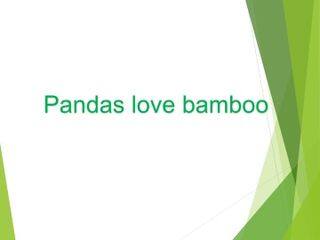 Pandas love bamboo._课件1