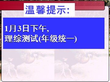 生物高中必修3第五章第四节课件11