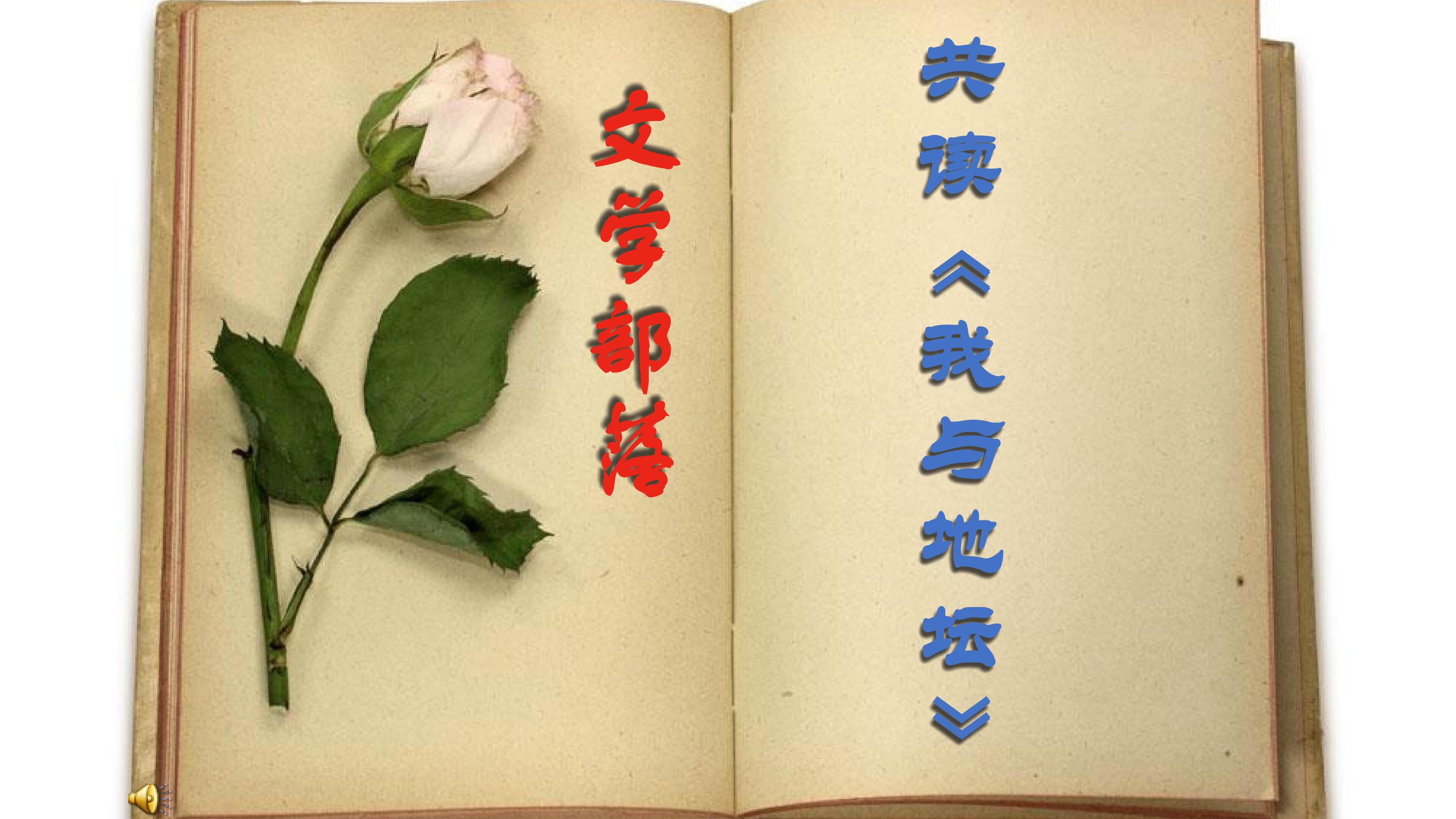 文学部落之《我与地坛》读书写作交流会
