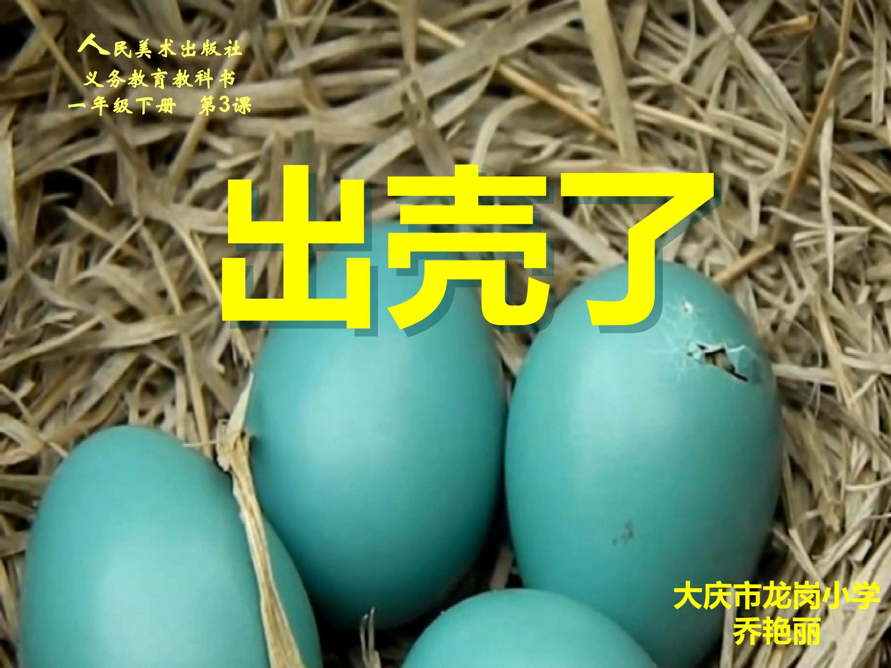 《出壳了》