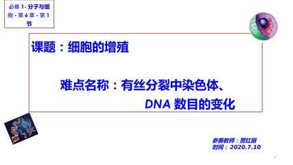 必修1 分子与细胞 第6章 细胞的生命历程 第1节 细胞的增殖