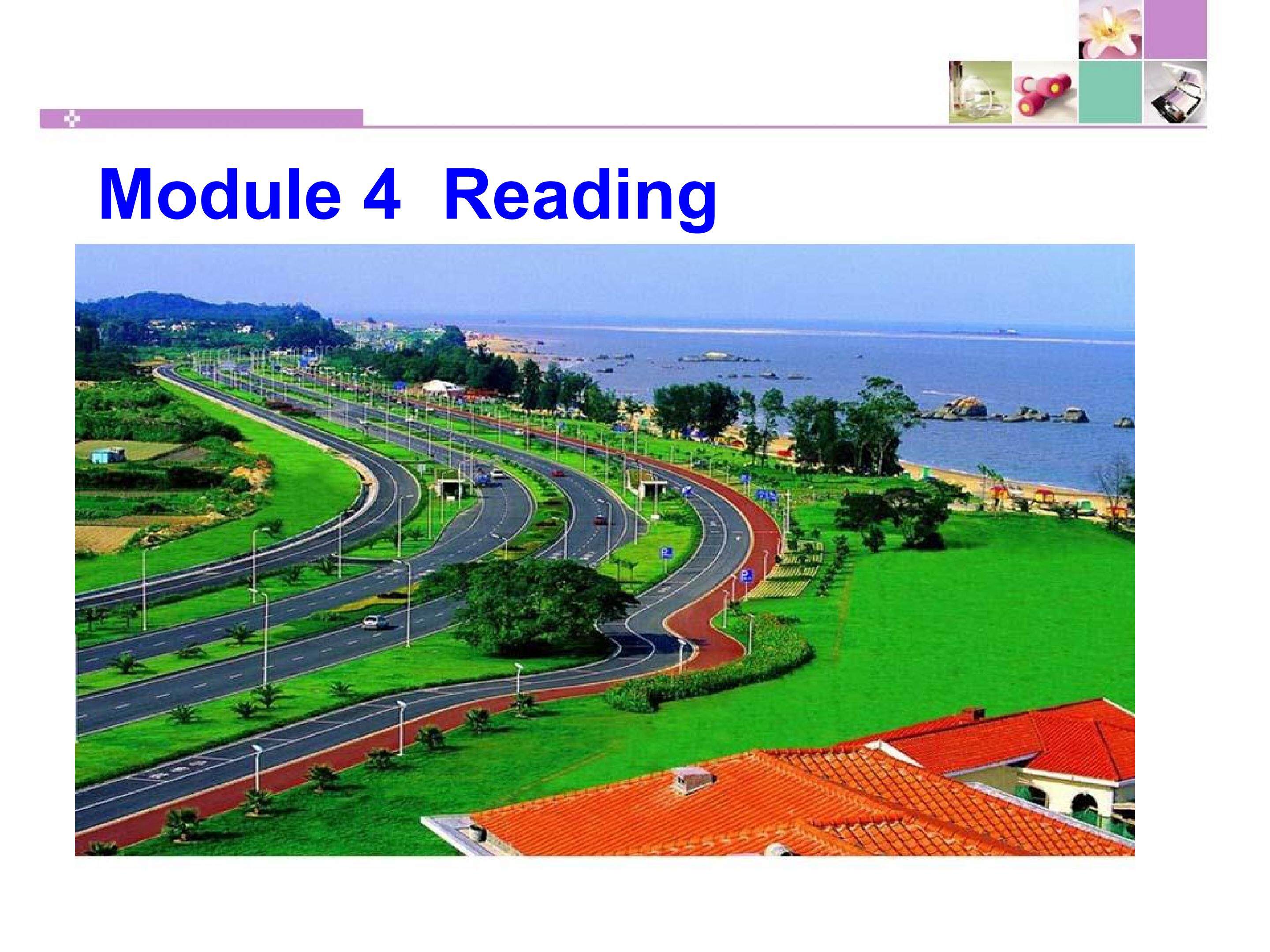 module 4 A Lively City