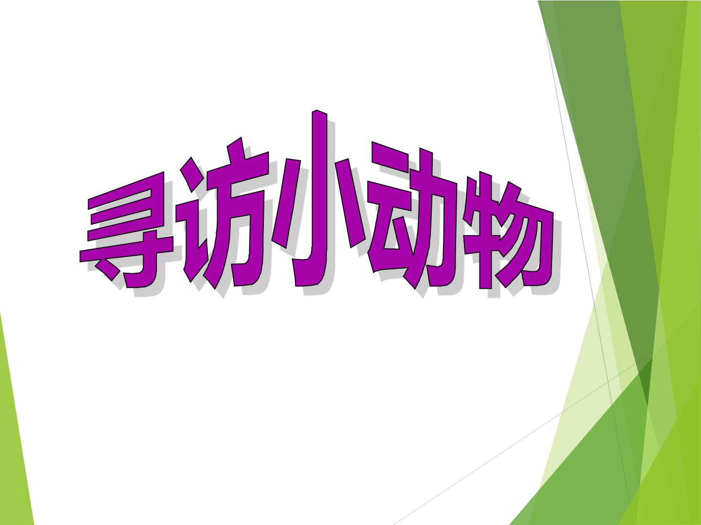 寻访小动物_课件1
