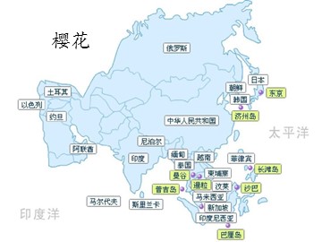 樱花_课件1