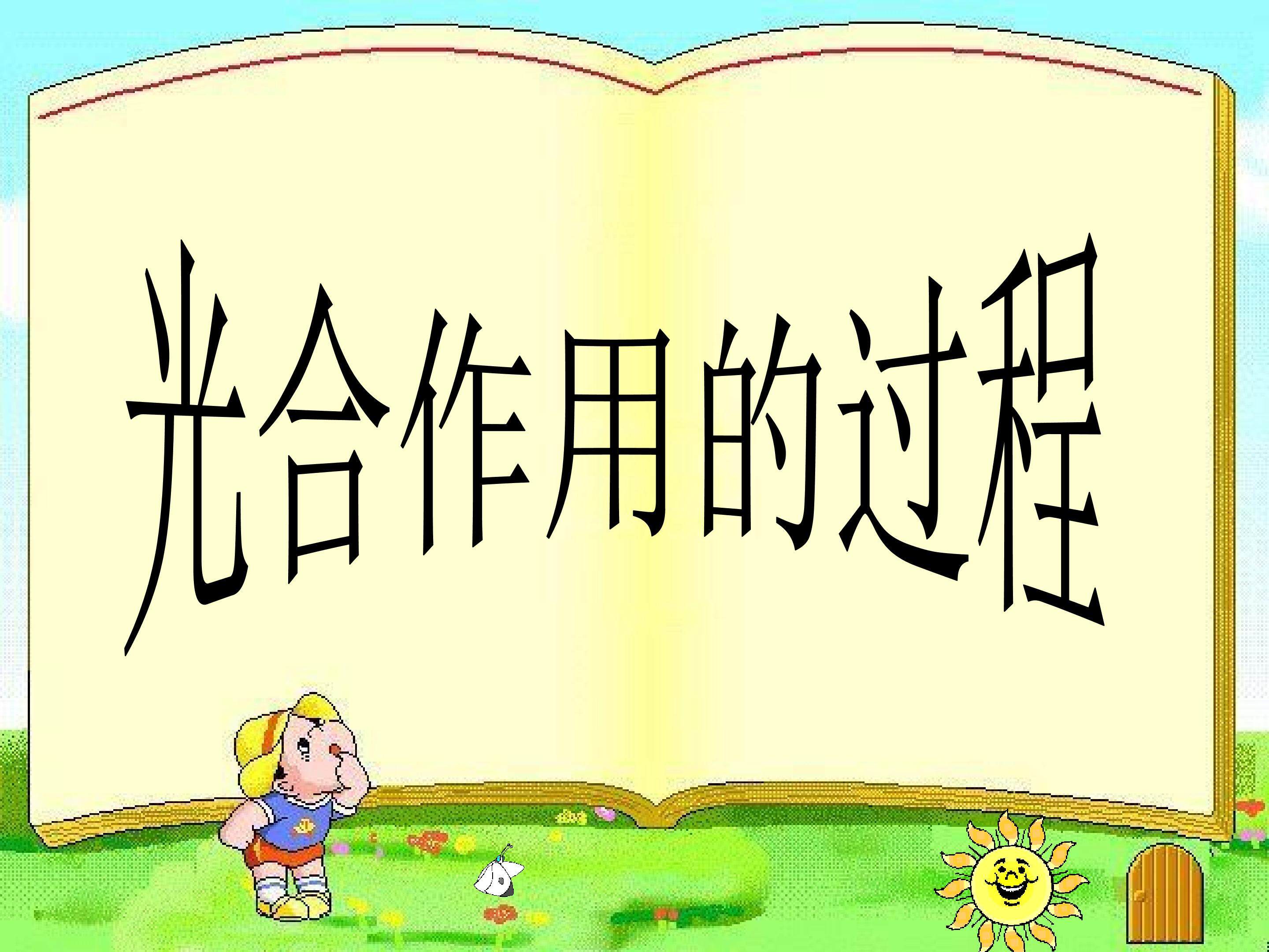 光合作用的过程_课件1