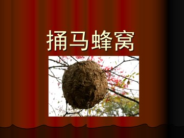 捅马蜂窝_课件5