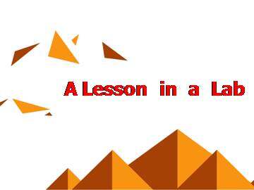 A Lesson in a Lab_课件17