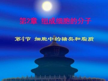 生物高中必修1第二章第四节课件1