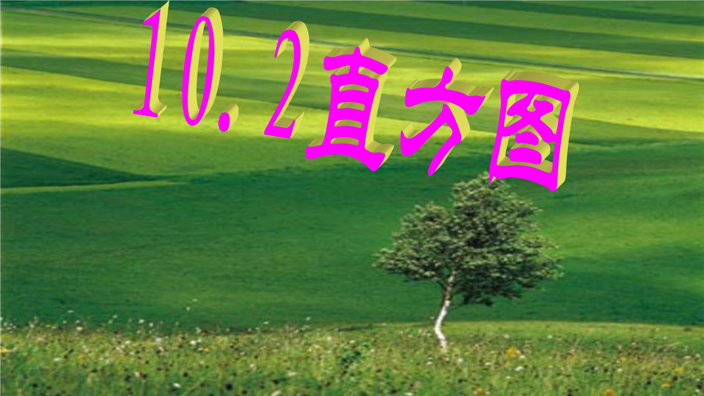 1.jpg