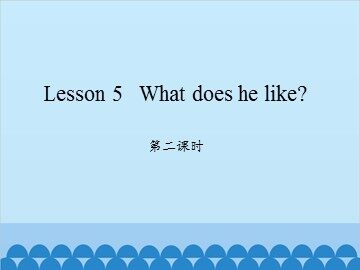 Lesson 5   What does he like?-第二课时_课件1