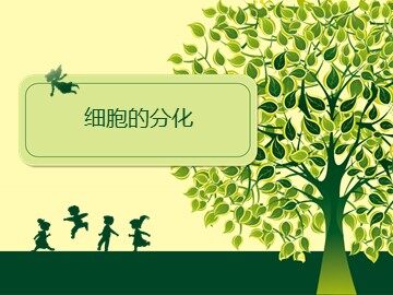 第2节  细胞的分化