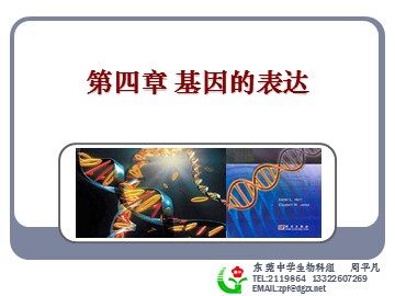 生物高中必修2第四章第一节课件3