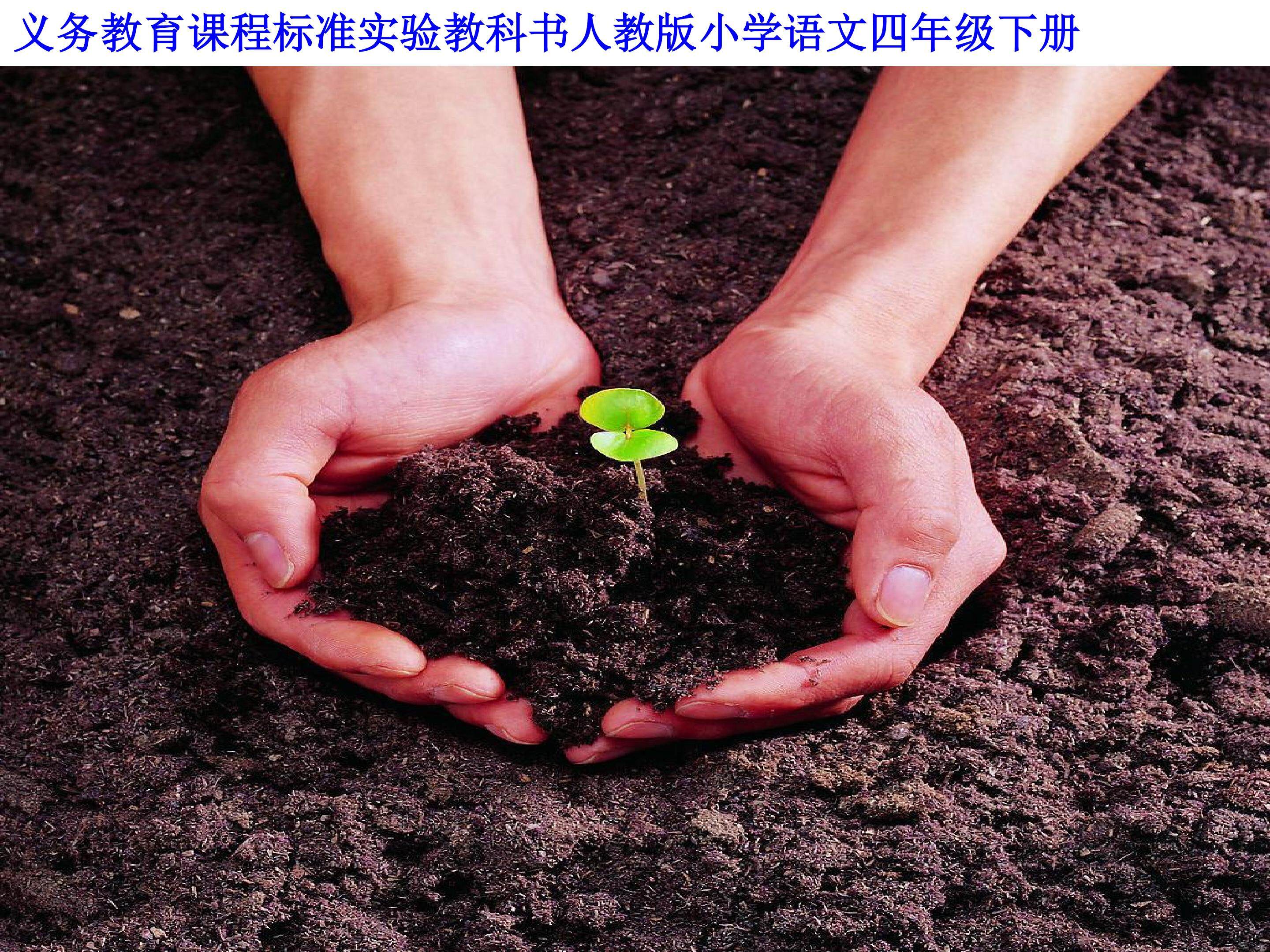 生命 生命
