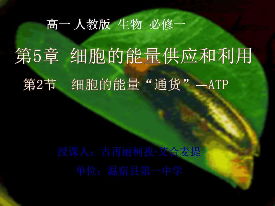 必修一第五章第一节细胞的能量通货--atp