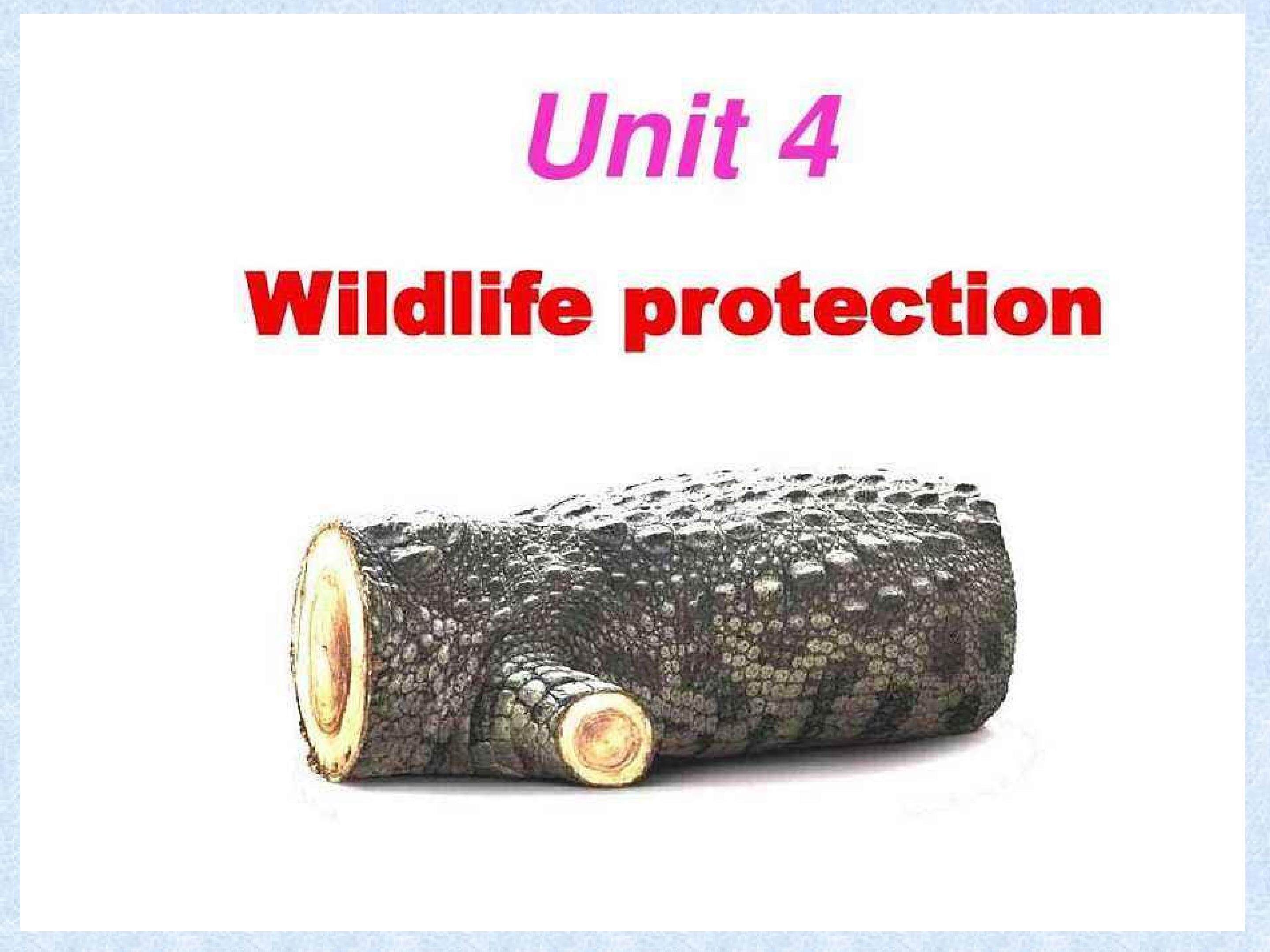 Wildlife Protection (writing)