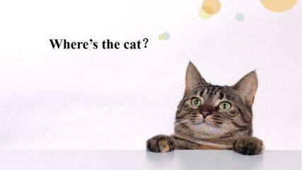 Wheres the cat?_课件1