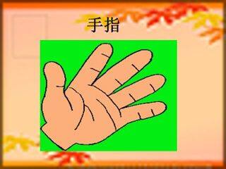 手指_课件2