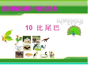 10 比尾巴