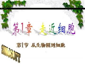第1节  从生物圈到细胞
