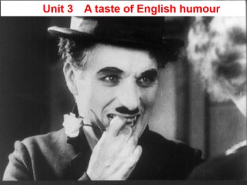 A taste of English humour_课件38