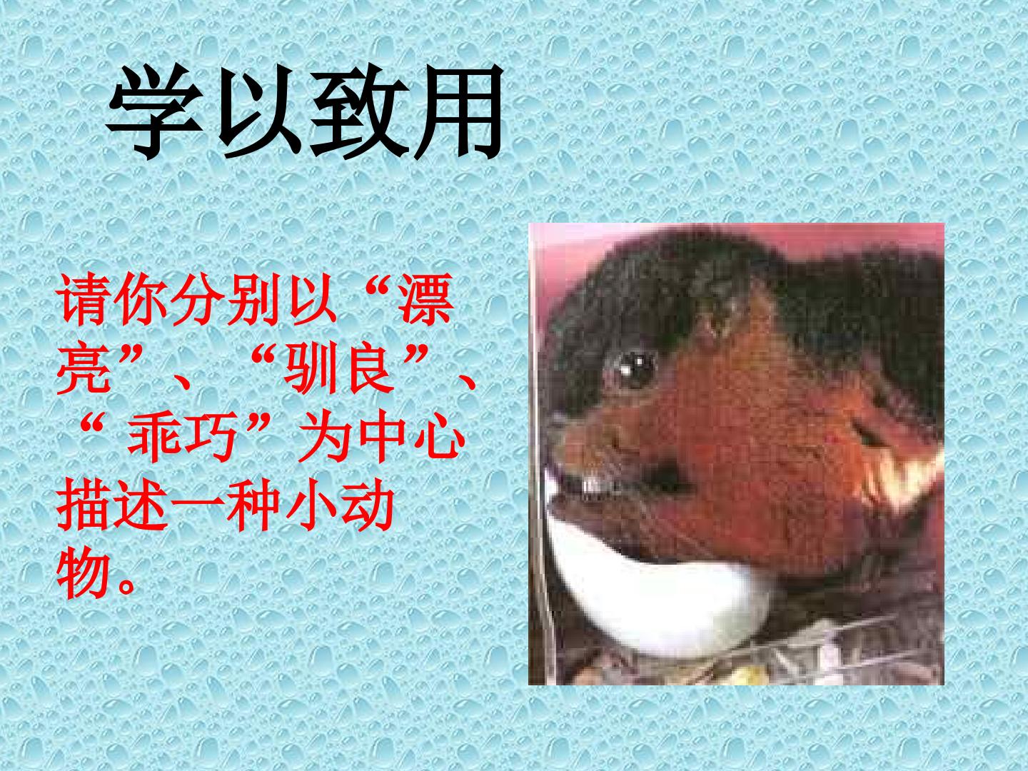 38.jpg
