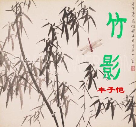 竹影_课件21