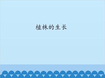 植株的生长_课件1