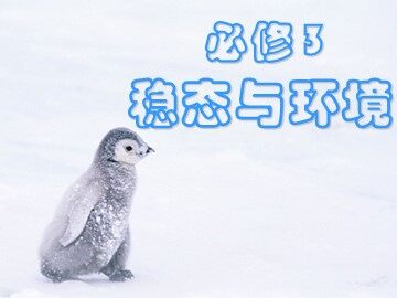 生物高中必修3第一章第一节课件6