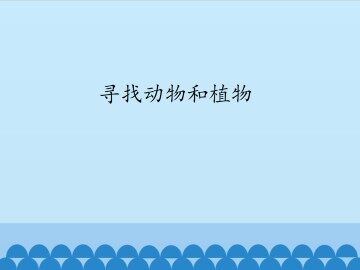 寻找动物和植物_课件1