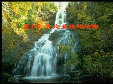 生物高中必修3第五章第一节课件21
