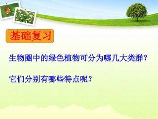 《种子植物》(第一课时)