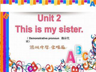 指示代词的用法