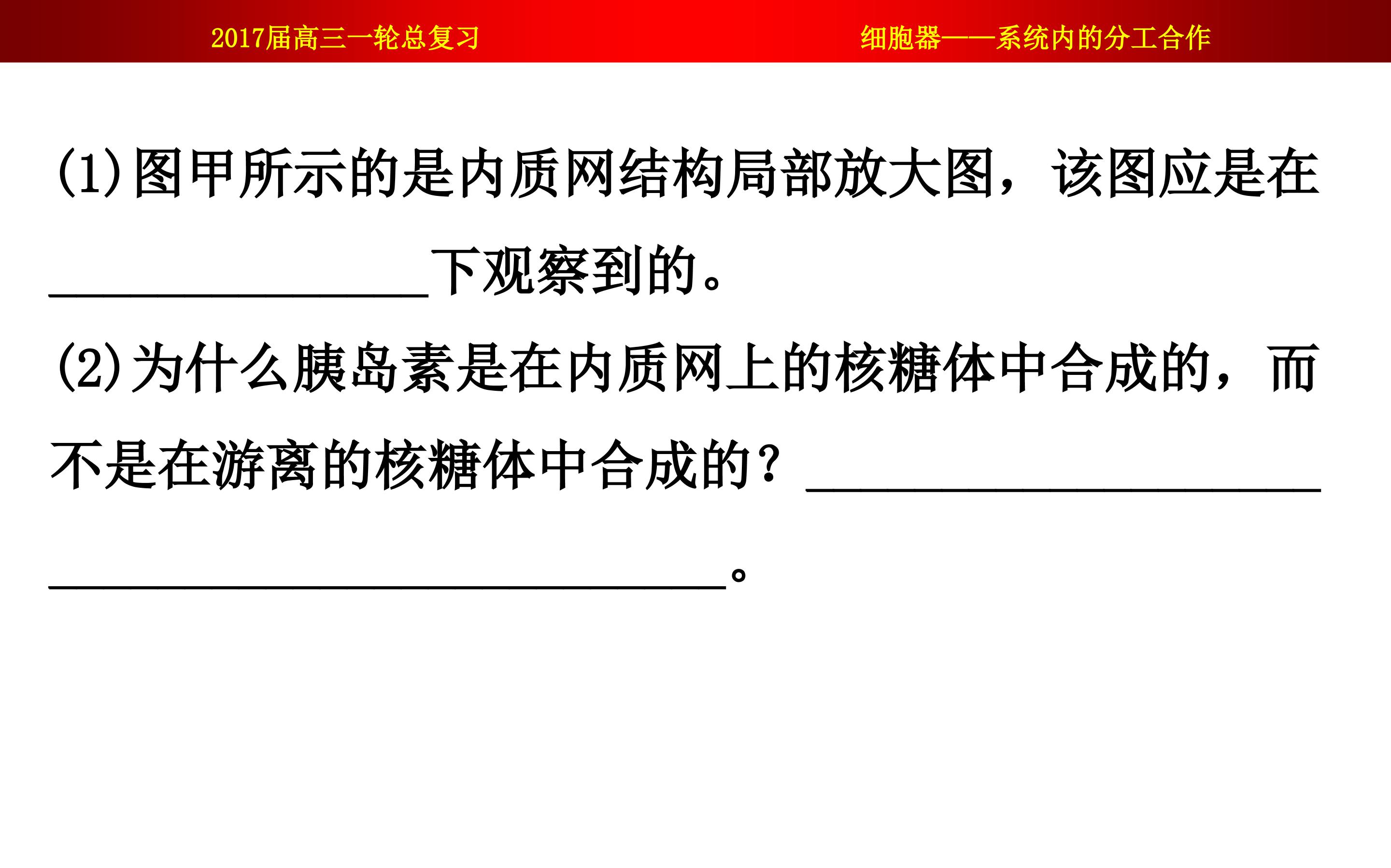 73.jpg