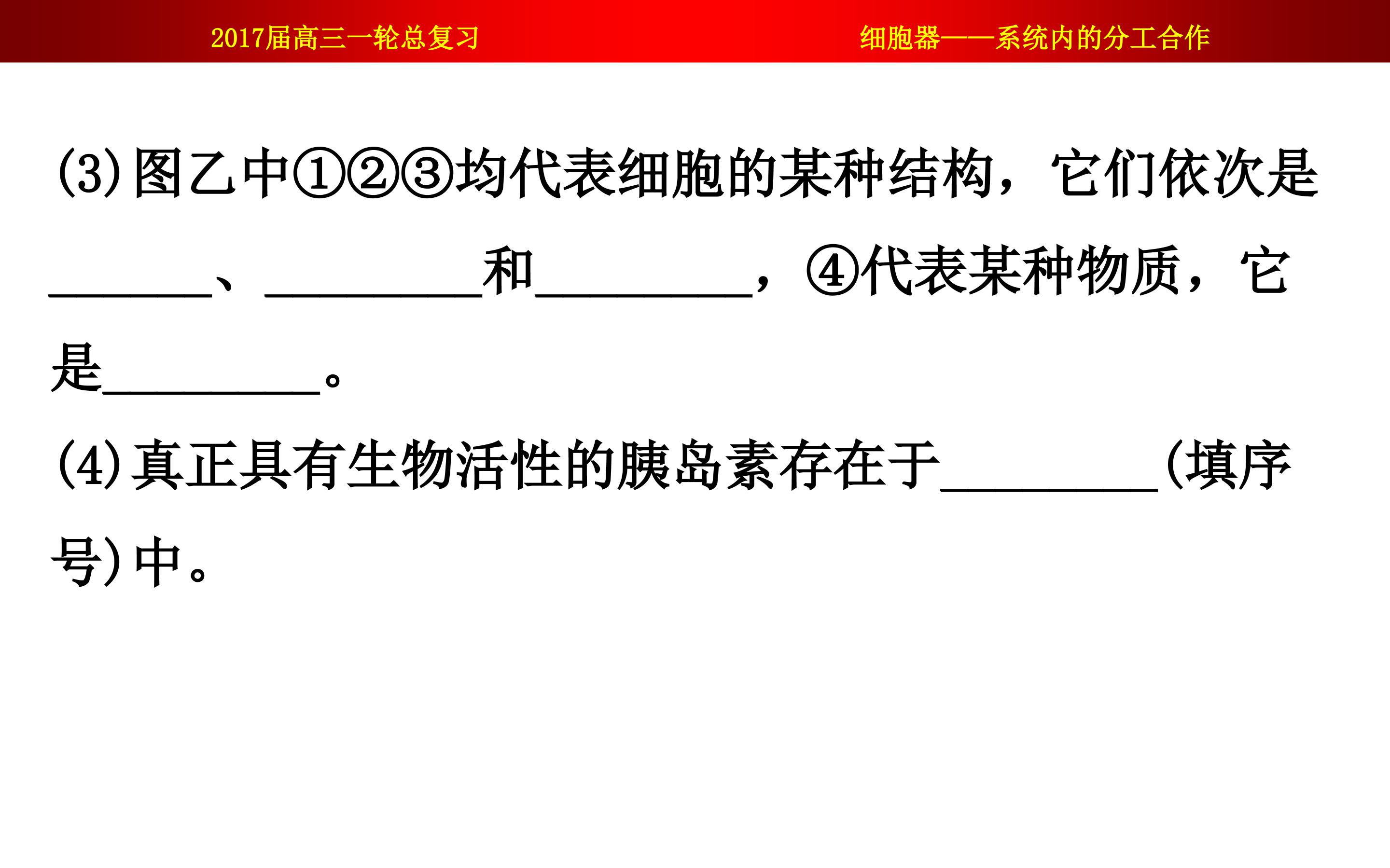 74.jpg