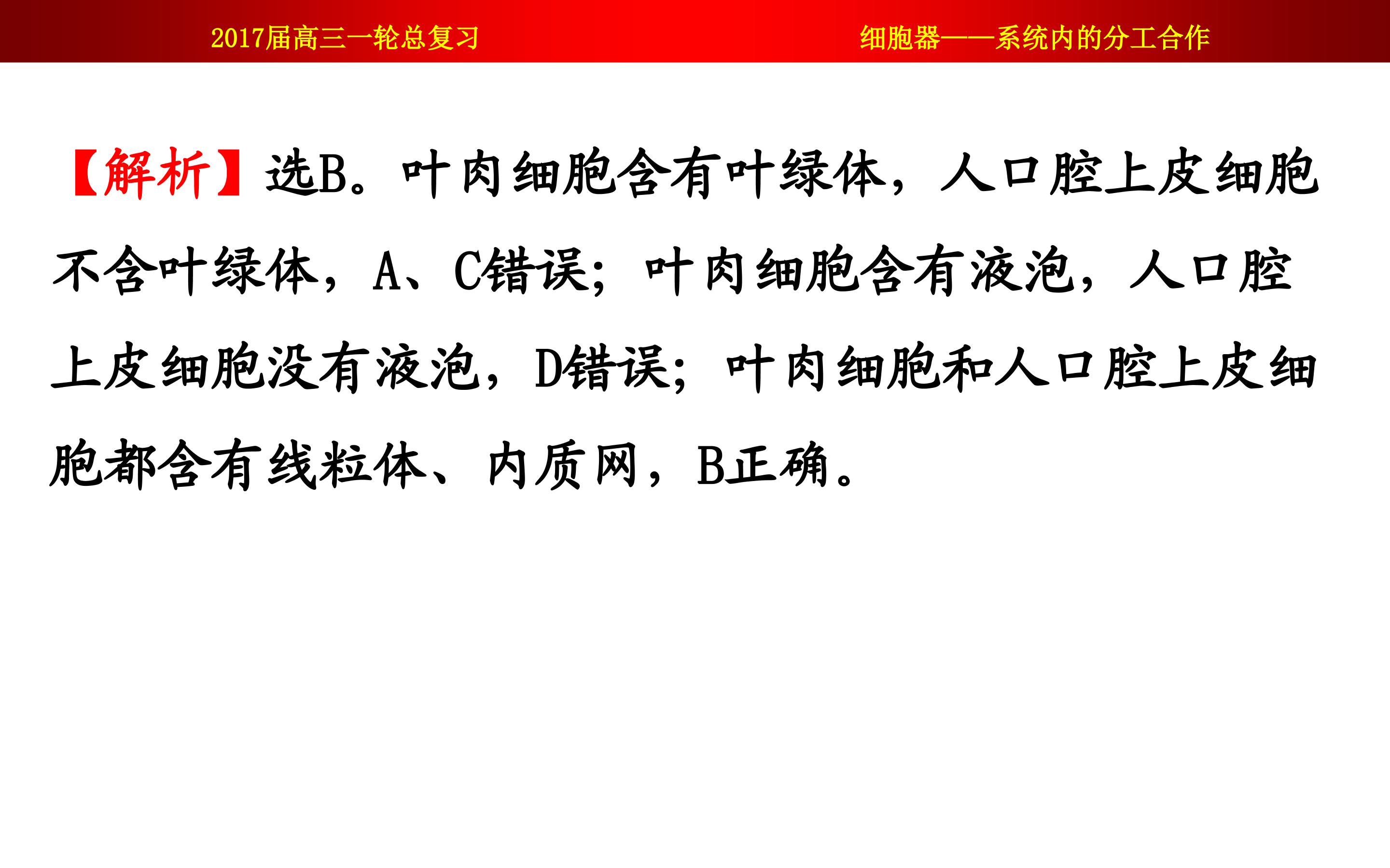 93.jpg