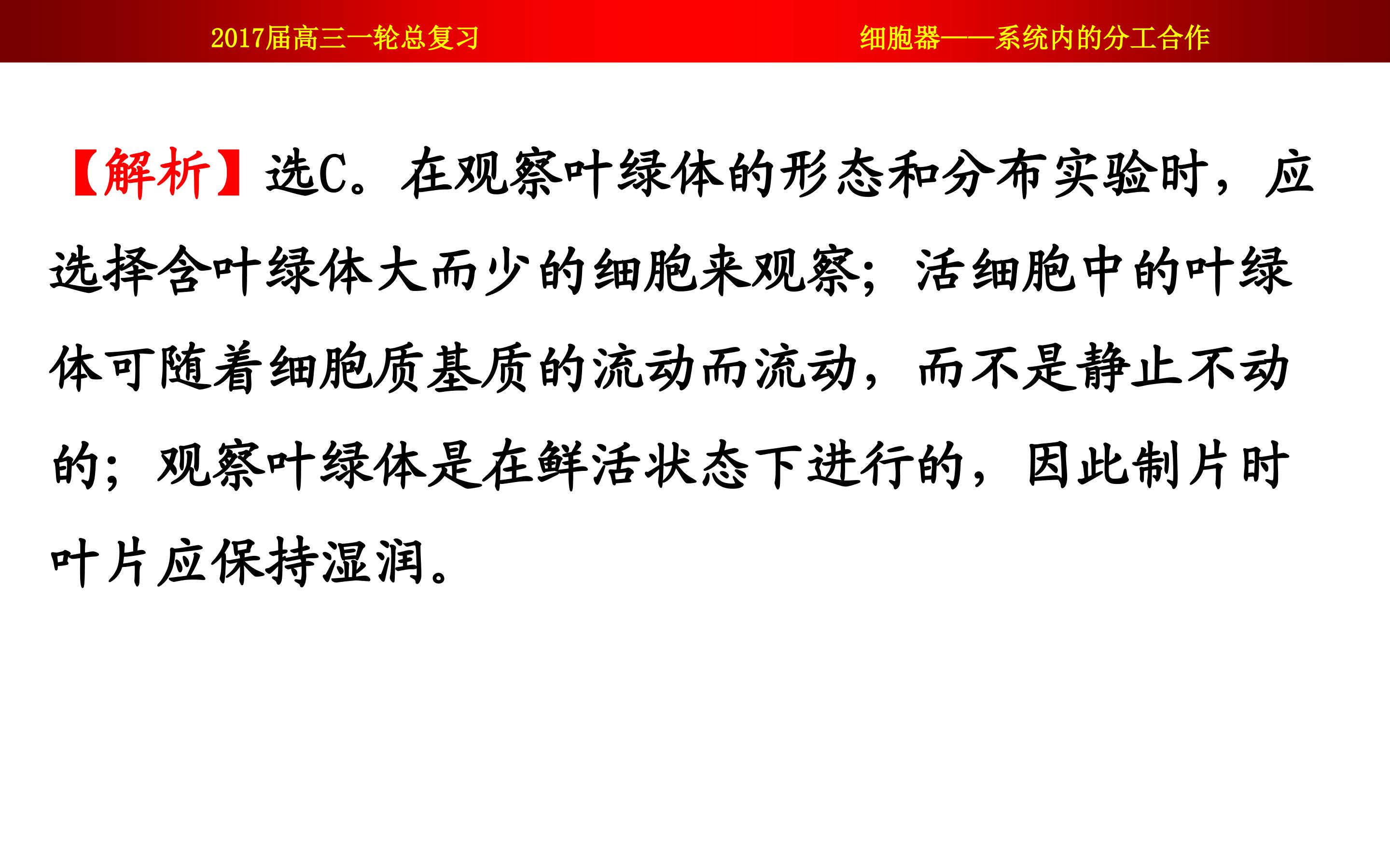 95.jpg