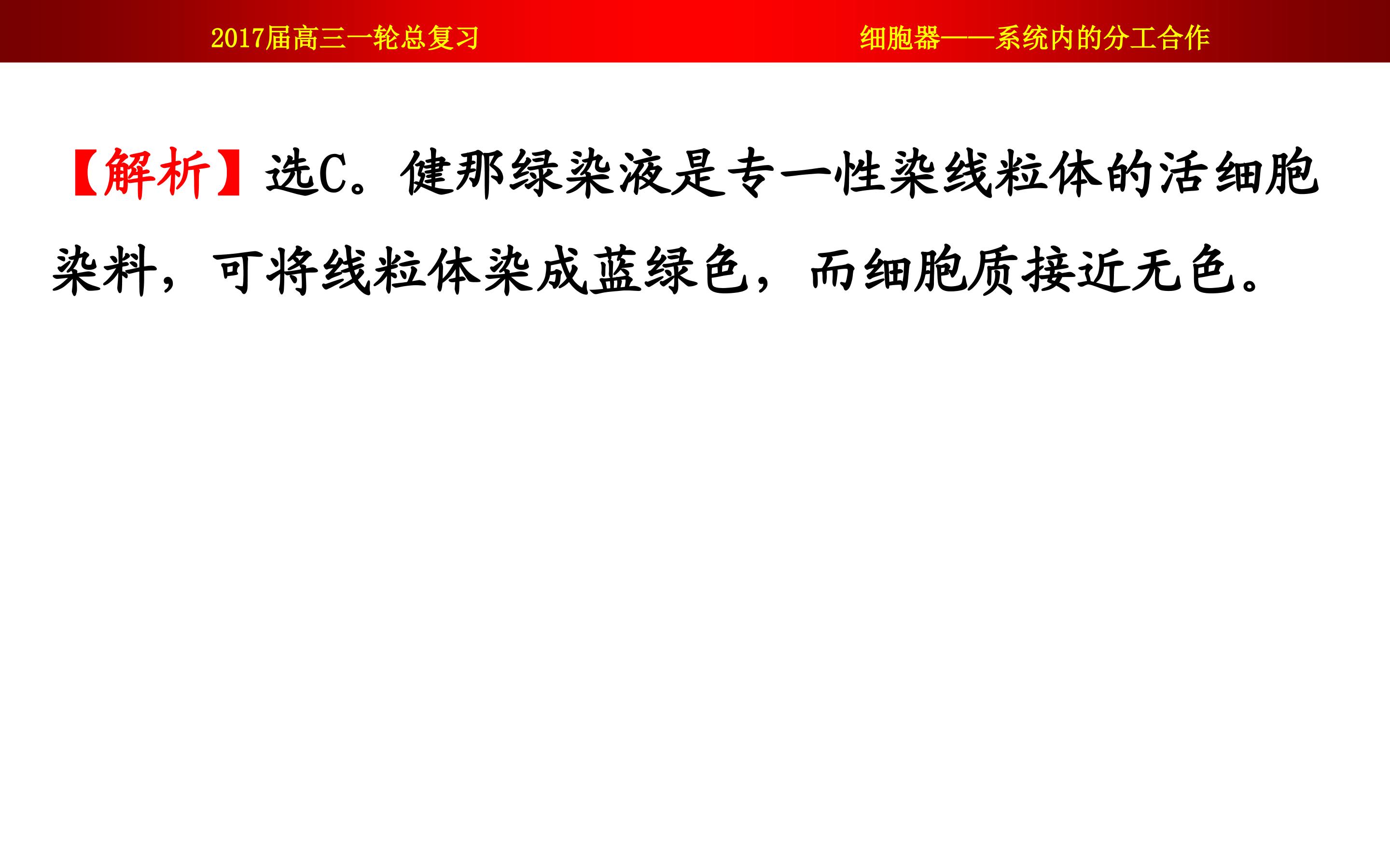 97.jpg