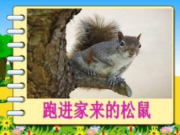 跑进家来的松鼠_课件1