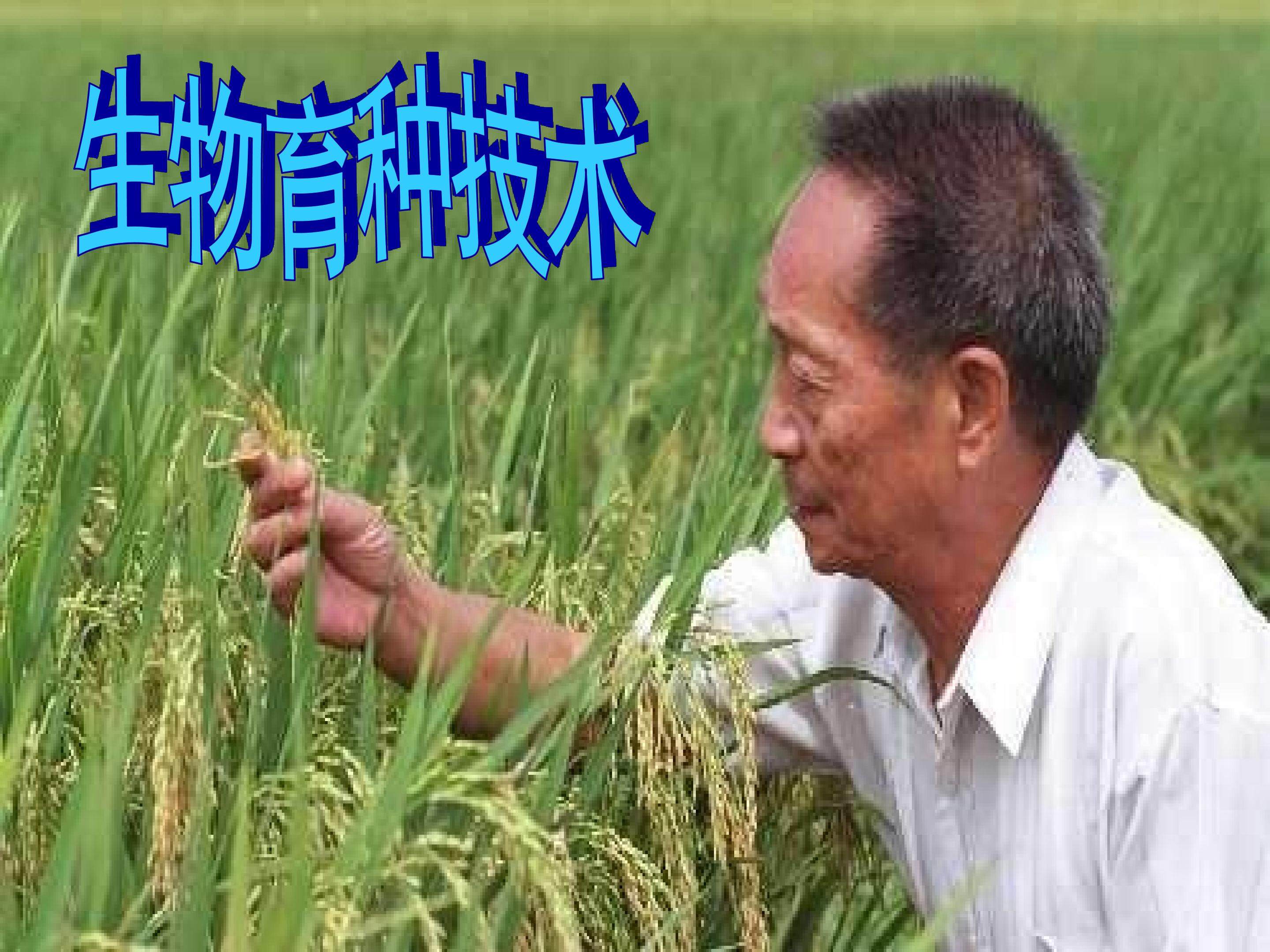 生物育种技术_课件1