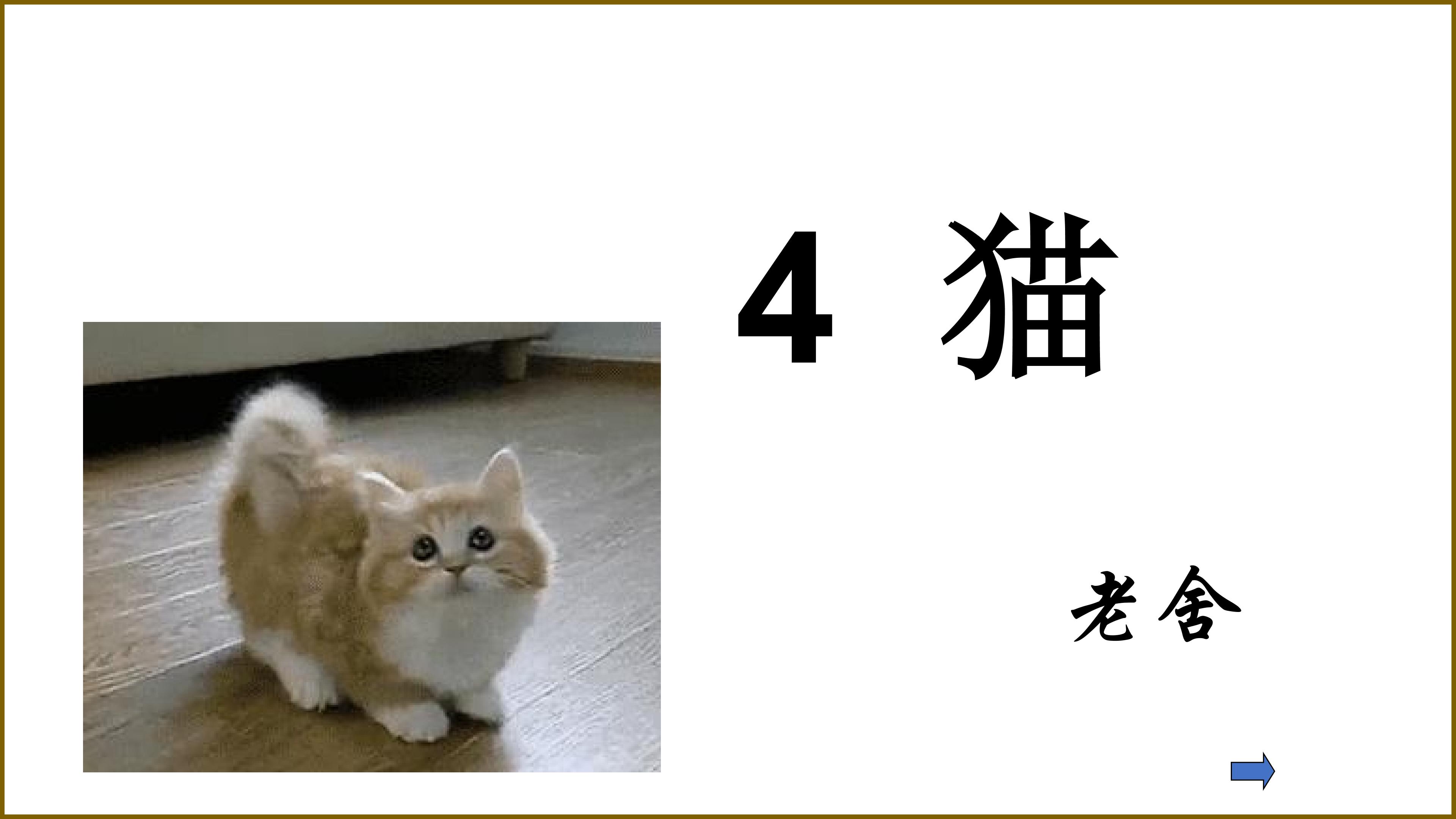 猫