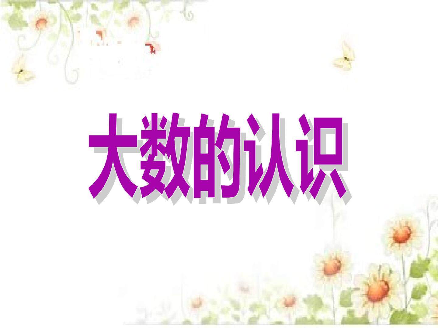 大数的认识